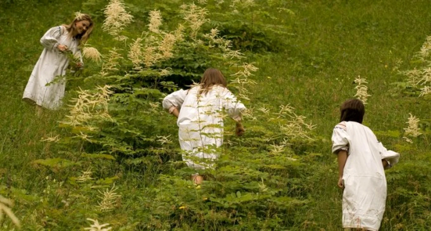 
    Sânziene 2015 şi Ziua Universală a Iei sunt serbate miercuri, 24 iunieFoto Click!  