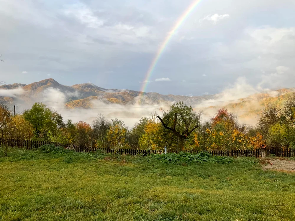 Frumusețea vieții la țară Foto: Andy Hertz