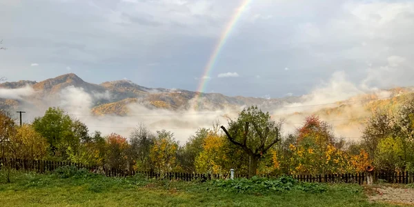 Mutat la țara Foto Andy Hertz jpg