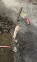 Cercetări arheologice de la Târcov – Piatra cu Lilieci (© Muzeul Județean Buzău)