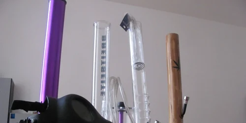 accesorii etnobotanice