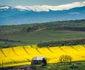 Biserica reformată din Păuca  Foto Claudiu Nelega jpg