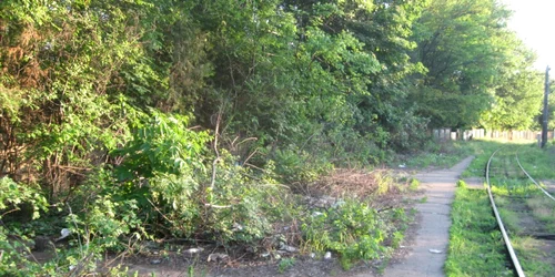 Peronul lui Ceauşescu