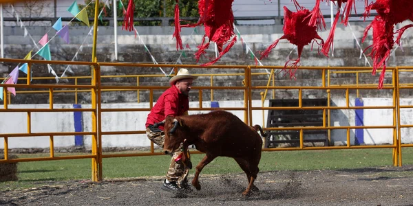 Cortea arena taur America Express Foto Antena 1 jpg
