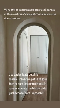 Ce mobilă a ales Adela Popescu pentru bucătăria casei / foto: Instagram