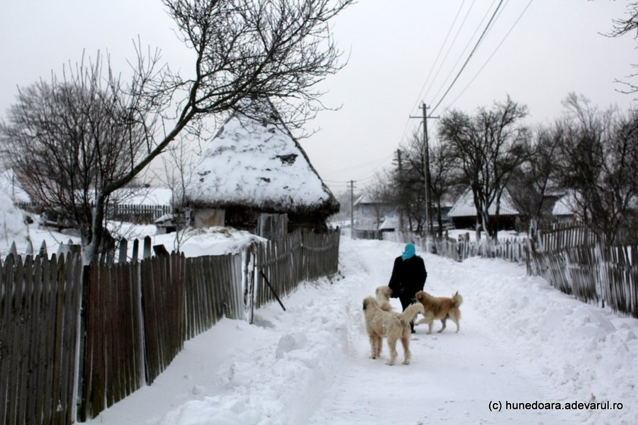 De ce sunt atâția români uitați de propriii copii? Răspunsuri tulburătoare date de tineri: „Nu toți sunt îngerași blajini”