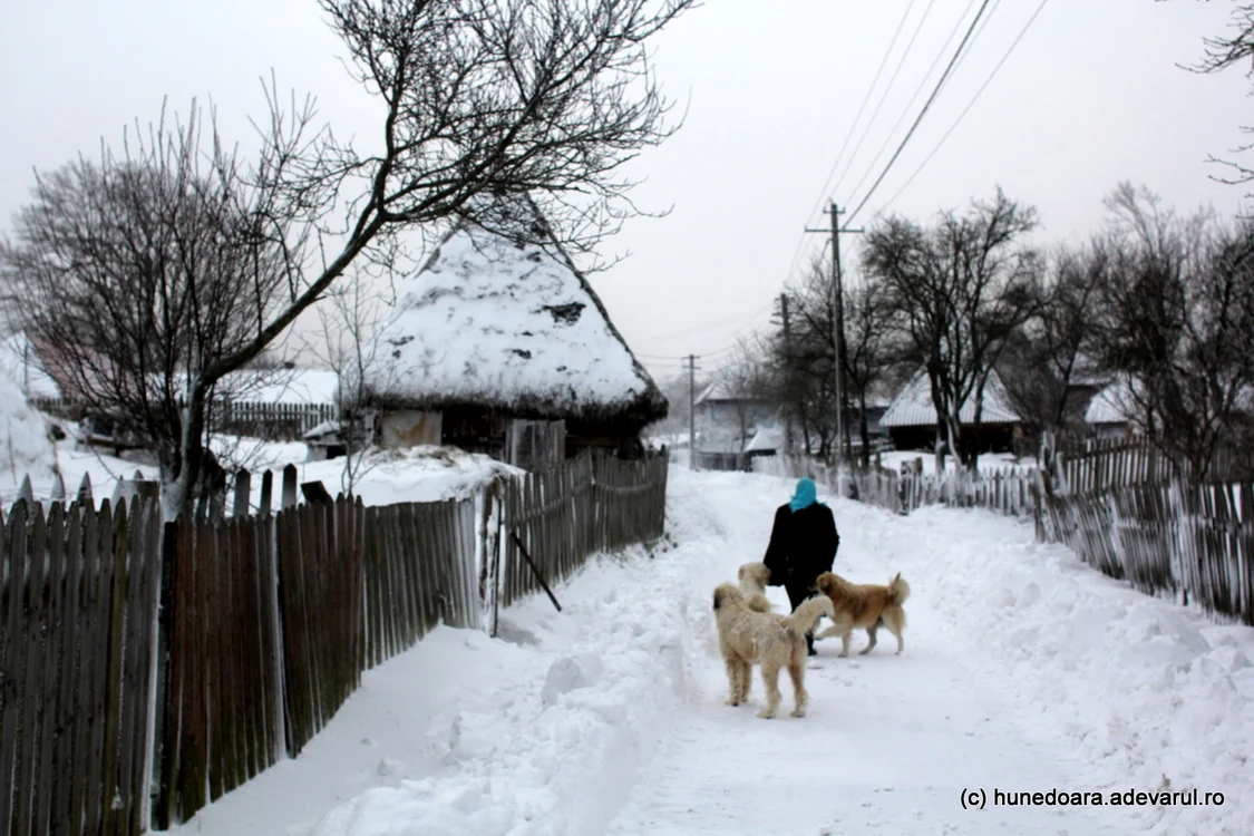 Satul Bătrâna. Foto: Daniel Guță