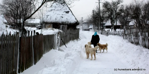 Satul Bătrâna  Foto Daniel Guță (6) jpg
