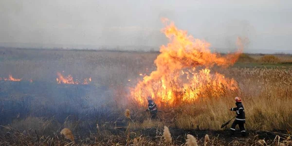 Arderile de mirişte sunt la ordinea zilei (Foto: Arhivă)