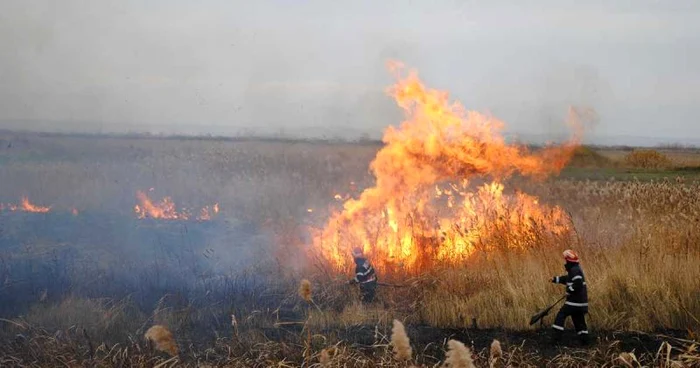 Pompierii ialomiţeni au stins focul cu operativitate FOTO: adevarul.ro