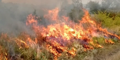 incendiu vegetatie foto isu mehedinti