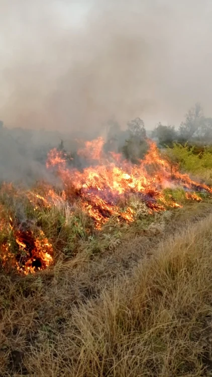 Echipajele ISU şi pompierii unităţii militare acţionează în prezent pentru lichidarea incendiului. FOTO: ISU