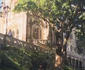 Diana Bart, vacanță cu fetițele Maira și Amina, în Portugalia foto: Instagram 