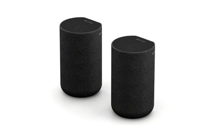 Boxe wireless Sony SA-RS5 