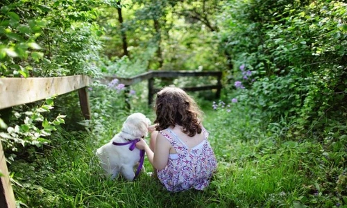 1 81808 original jpg jpeg