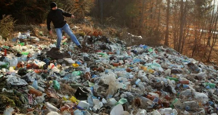 Tonele de gunoi sunt depozitate chiar la liziera pădurii, în apropierea râului Buzău. Foto: Stelian Grăjdan