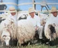 Maramureș in anii '80. Fotografii: Sandu Mendrea, Album Maramureș, Editura Sport - Turism, 1982 ( (33) jpg