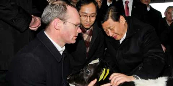 Vicepreşedintele chinez are un tiz: un viţel proaspăt născut