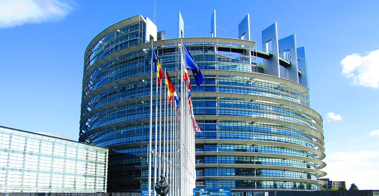 Pentru reprezentarea românilor în PE s-au înscris candidați din diferite domenii FOTO Pixabay