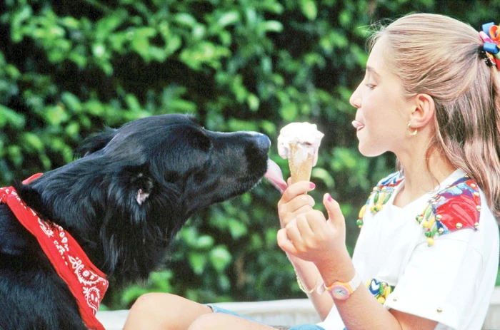 Nu da câinelui îngheţată obişnuită