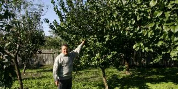 Craiova:Cel mai bogat amărăştean este în Oltenia