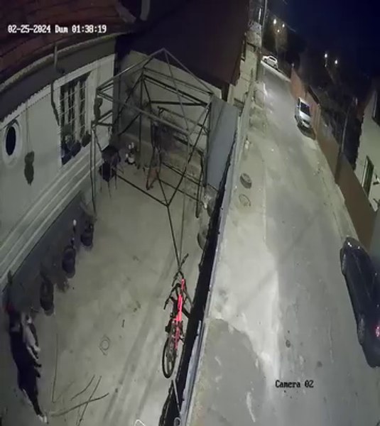 Câine Husky, furat dintr-o curte din Buzău. Hoțul a fost identificat cu ajutorul unei camere de supraveghere VIDEO