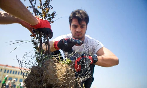 proiectul EcoChampions jpeg