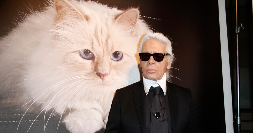 Ce mai face Choupette, pisica milionară a regretatului creator de modă Karl Lagerfeld FOTO