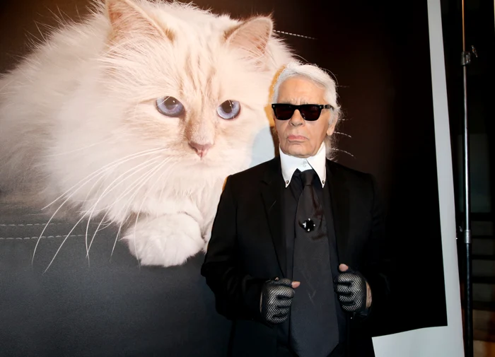 Choupette, „copilul“ lui Karl Lagerfeld FOTO Profimedia