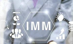afaceri imm jpeg