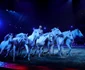Prințesa Stephanie de Monaco a deschis Festivalul Internațional de Circ de la Monte-Carlo