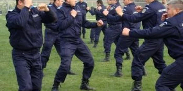 Jandarmii se pregătesc intens