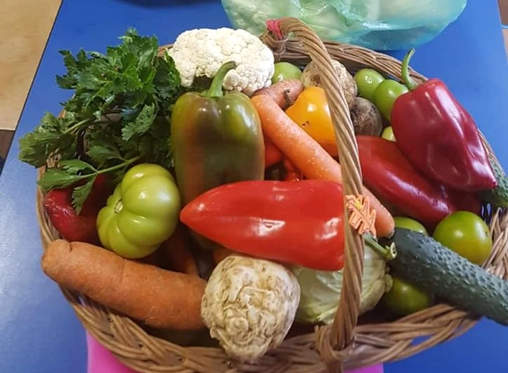 Aşa arată coşul  cu bunătăţi  din grădină