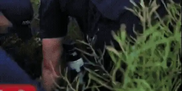 WhatsApp Video 2026 05 08 at 19 50 13 1 gif