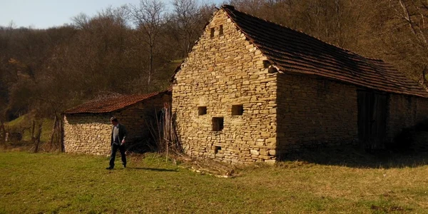 case piatra ceru bacainti