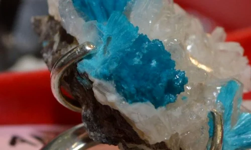 EXPOZIȚIA MINERALIA „CRISTALE DE SĂRBĂTORI” jpeg