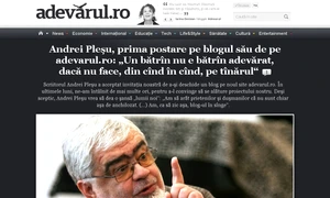 Dl Andrei Pleşu are blog jpeg
