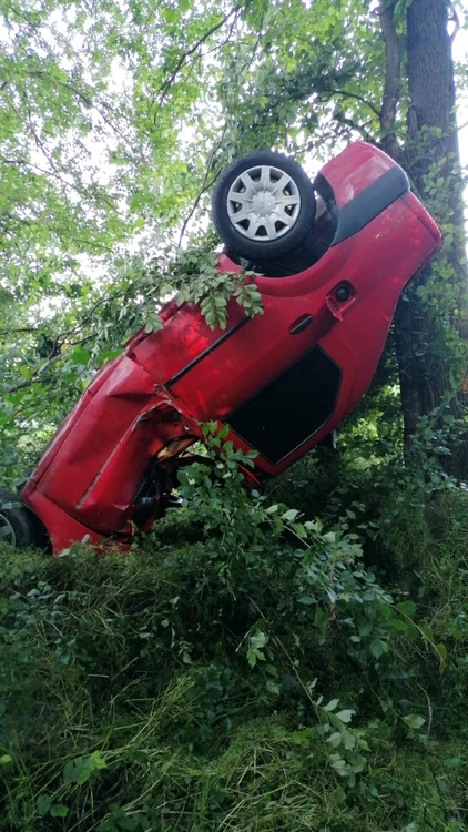 Masina a izbit mai mulţi copaci si s-a oprin în unu dintre ei. Foto: ISU Argeş.