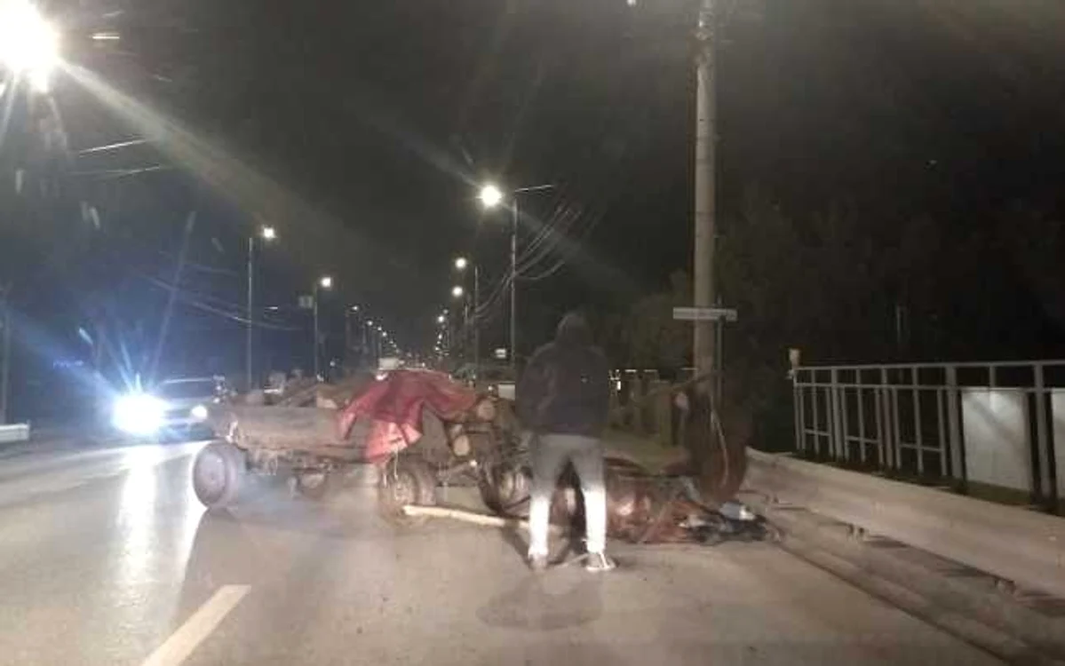 Animalul s-a prăbuşit de oboseală pe drumul care face legătura între Alba Iulia şi Miceşti