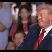trump texas gif gif