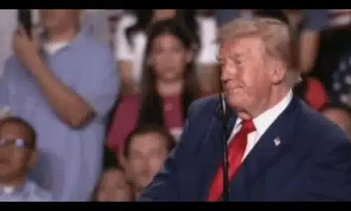 trump texas gif gif