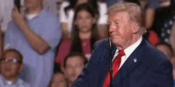trump texas gif gif