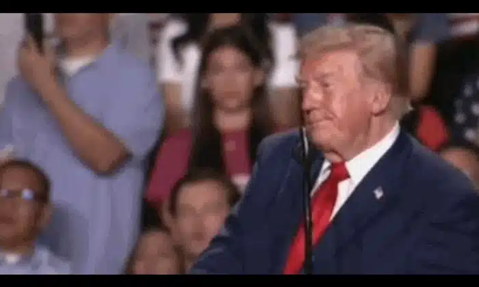 trump texas gif gif