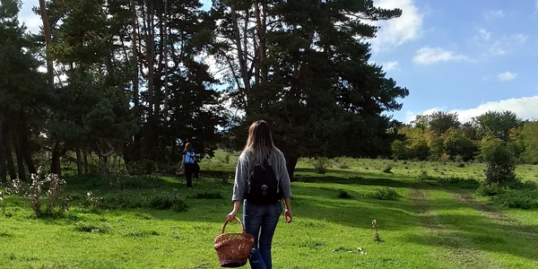 raluca permacultura jpg