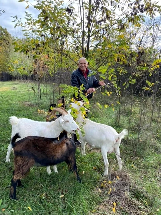 
    Gheorghe Zamfir și-a construit o vilă cu grădină la Găești, pe meleagurile natalefoto: arhivă personală  