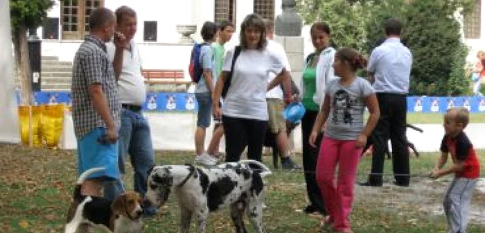 Alba Iulia: Show canin în Parcul Custozza