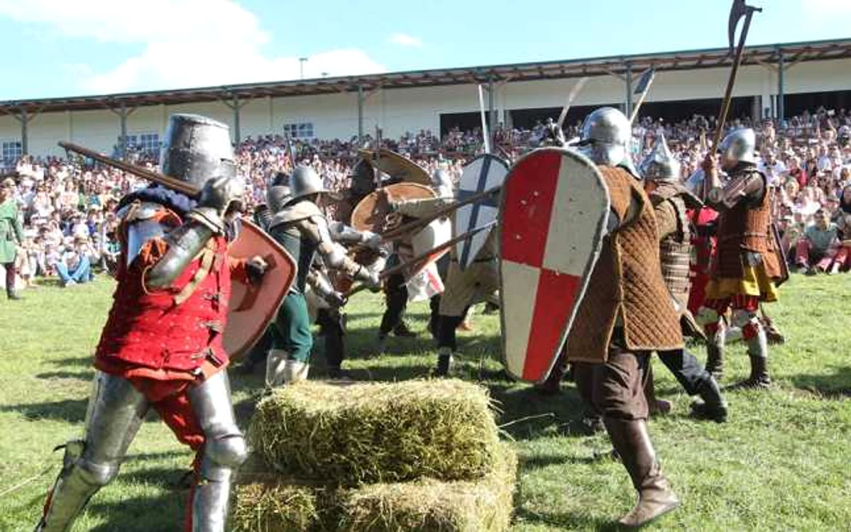Cavalerii s-au luptat în faţa mulţimii de vizitatori ai festivalului FOTO: Tudor Iovu