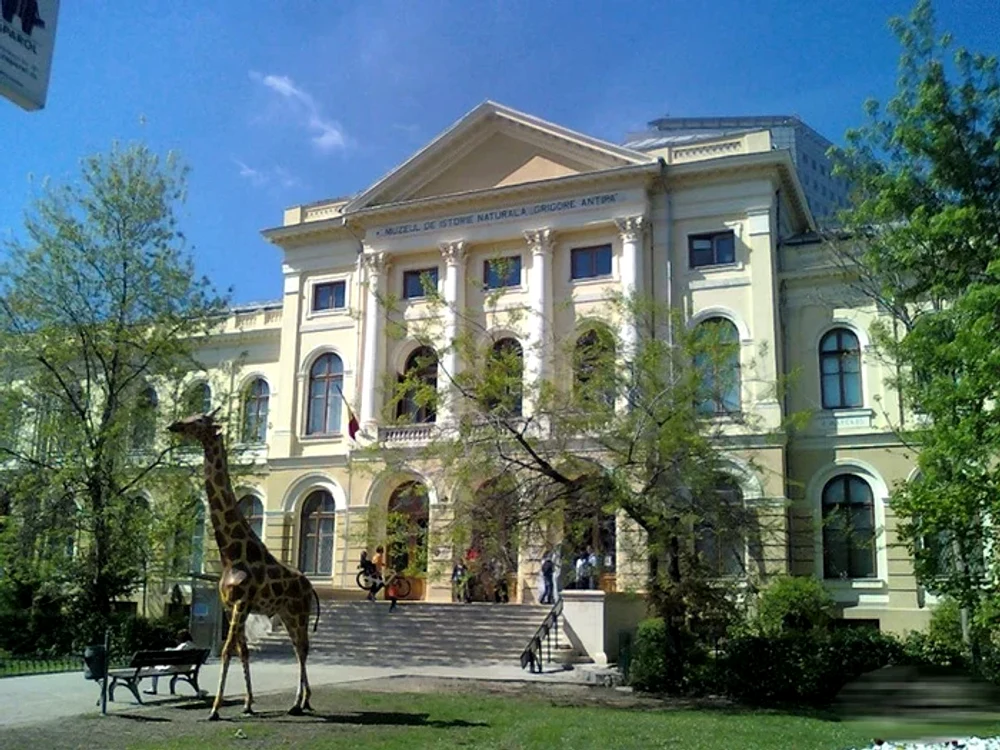 Muzeul Antipa