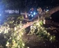 Copaci smulși din rădăcini și doborați de vântul puternic în județul Vâlcea Foto ISU Vâlcea