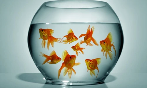 1 59425 original jpg jpeg